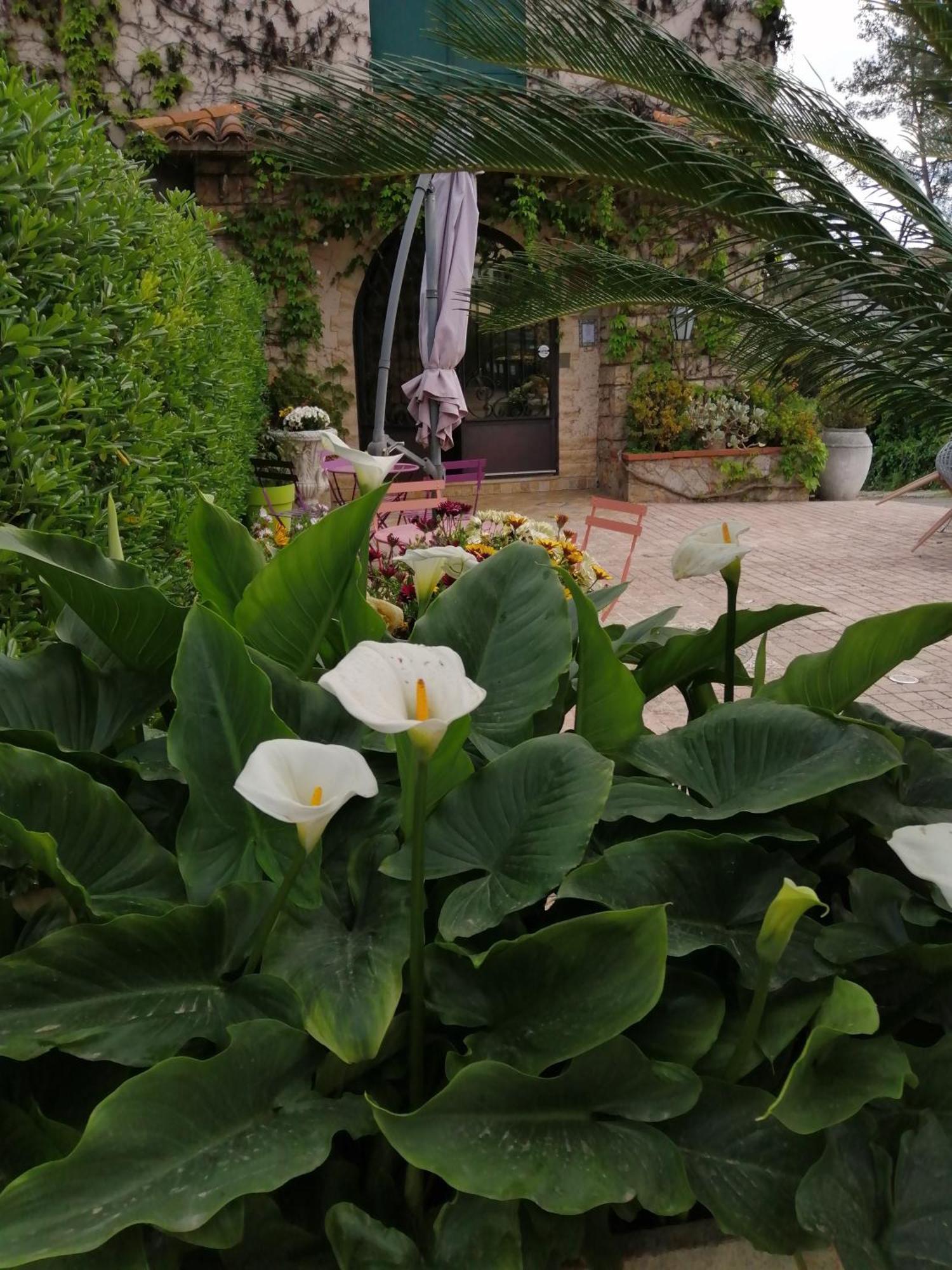 Auberge Les Aromes Grasse Exteriör bild
